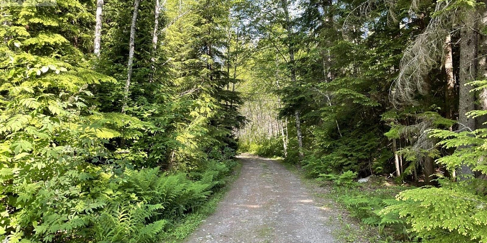 5258 OLD REMO ROAD Terrace Photo 34 5258 OLD REMO ROAD Terrace Photo 34